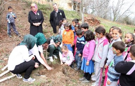 Fakülte öğrencileri minik kardeşleriyle fidan dikti