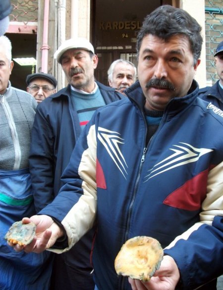 Fatih Belediyesi’nden mantar denetimi