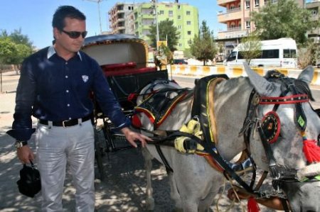 Faytonla Midyat Turu Başlıyor
