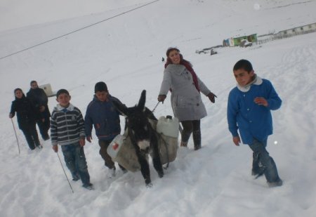 Fedakar öğretmenler öğrencileri için eşekle su taşıyor
