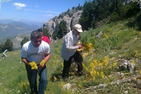 Fekeliler Hopka Dağı'nın yamaç paraşütüne açılmasını istiyor