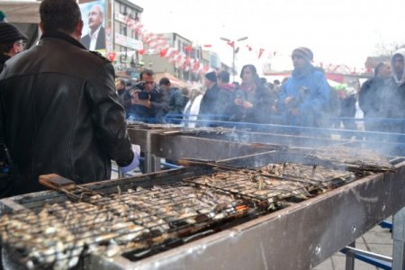 Festivalde 10 ton hamsi dağıtıldı