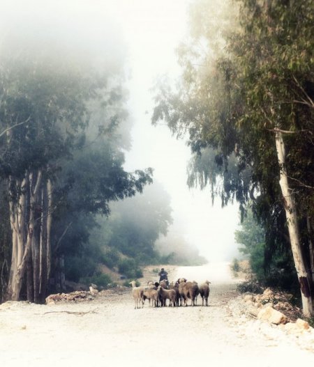 Fethiye'de kartpostallık kış görüntüleri