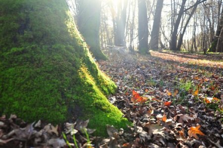 Fethiye'de kartpostallık kış görüntüleri