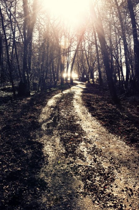 Fethiye'de kartpostallık kış görüntüleri