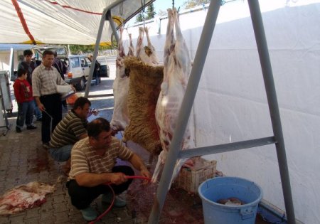 Fethiye'de kurban kesim ücretleri 25 TL ile 100 TL arasında olacak