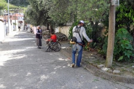 Fethiye'de mahalleler begonvil ve sardunya çiçekleri açacak