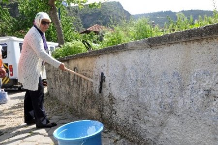 Fethiye'de mahalleler begonvil ve sardunya çiçekleri açacak