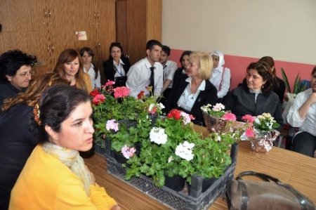 Fethiye'de mahalleler begonvil ve sardunya çiçekleri açacak