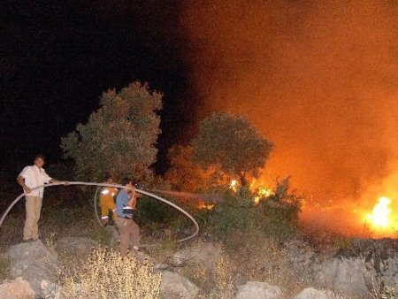 Fethiye'deki 26 Orman Yangınının 20'si İnsan Kaynaklı Çıktı