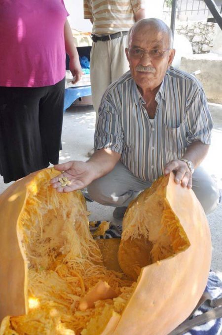 Fethiyeli çiftçi, bahçesinde 174 kiloluk bal kabağı yetiştirdi