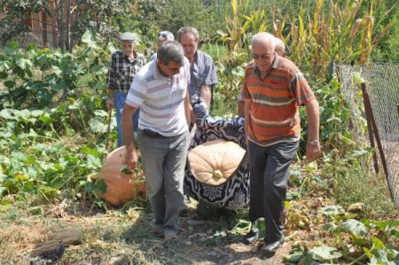 Fethiyeli çiftçi, bahçesinde 174 kiloluk bal kabağı yetiştirdi