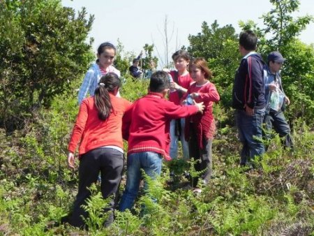 Fidanları toprakla buluşturdular