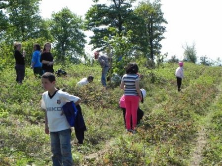 Fidanları toprakla buluşturdular