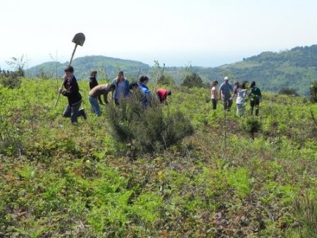 Fidanları toprakla buluşturdular