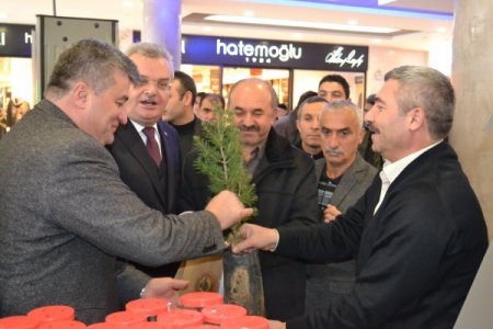 Fidanlık müdürlüğü, dikilmesi için 6 bin fidan dağıttı