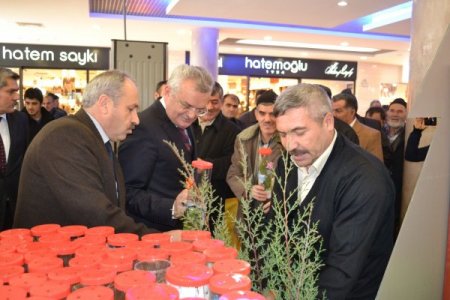 Fidanlık müdürlüğü, dikilmesi için 6 bin fidan dağıttı