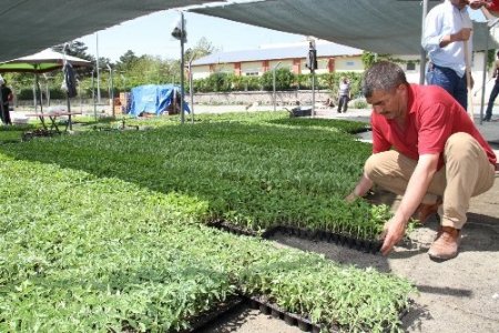 Fidecilere yeni fide pazarı