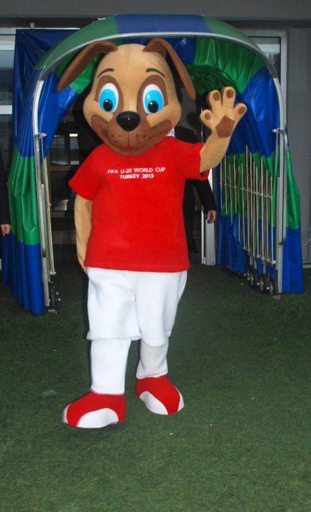 FIFA heyeti, 2013 incelemeleri için Rize’de