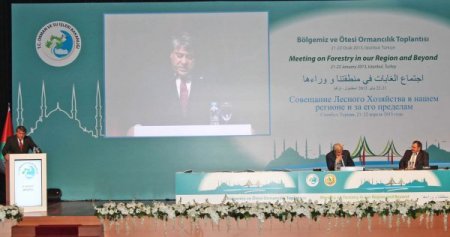 Filistinli Bakan: İsrail zeytin ağaçlarımızı bile benzin döküp yaktı