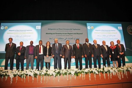 Filistinli Bakan: İsrail zeytin ağaçlarımızı bile benzin döküp yaktı