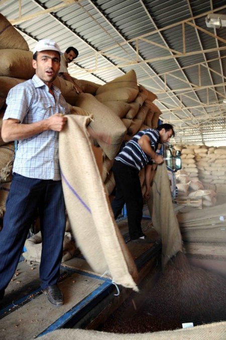 Fındık İhracatında Son 30 Yılın Rekoru Kırıldı