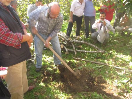 Fındık üreticilerine uygulamalı budama ve toprak analizi eğitimi
