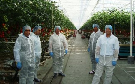 Fırat Üniversitesi Heyeti Hollanda'da Temaslarda Bulundu