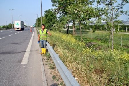 Fırlayan tekerleğin öldürdüğü adam, cenazeye gidiyormuş