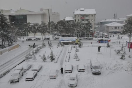 Fırtına, Tatvan’da ağaçları kökünden söktü, çatıları uçurdu
