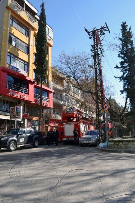 Fırtına ağaçları kökünden söktü