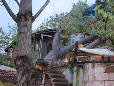 Fırtına Edremit’te Evin Üzerine Ağaç Devirdi