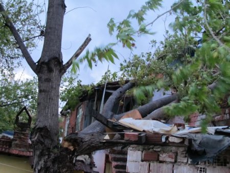 Fırtına Edremit’te Evin Üzerine Ağaç Devirdi