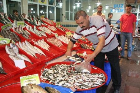 Fiyatlar Geçen Yılla Aynı, Vatandaş Balığa Doyacak