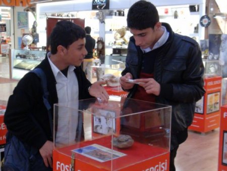 Fosil sergisi Şanlıurfa'da 5 gün gezilebilecek