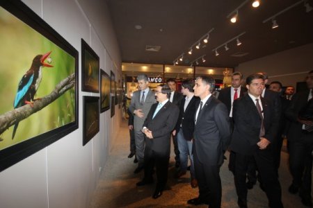 Fotoğraf karelerinde hayat bulan 'kuşlar'