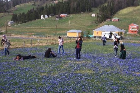 Fotoğrafçılık Kursu'nda sertifika zamanı