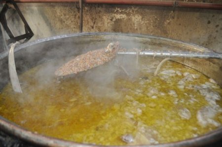 Gadir-i Hum’da Hatay'daki Aleviler türbelere akın etti