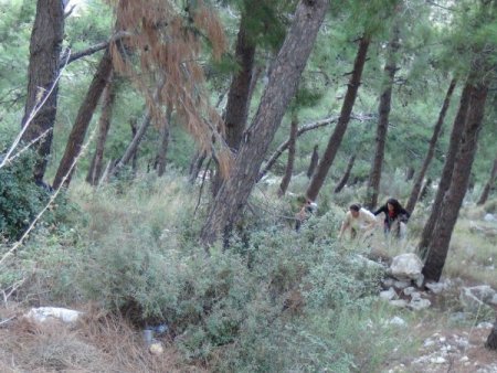 Gadir-i Hum’da Hatay'daki Aleviler türbelere akın etti