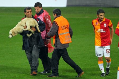 Galatasaray: 0 - Vfr Aalen: 1