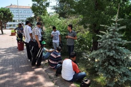 Gazeteciler Çareyi Ağaç Gölgesine Sığınmakta Buldu