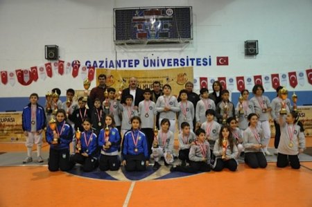 Gazi Kupası’na eskrim, karate ve tekvando turnuvası damgasını vurdu