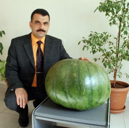 Gaziantep, 40 Kilogramlık Karpuzla Diyarbakır'a Rakip Oldu