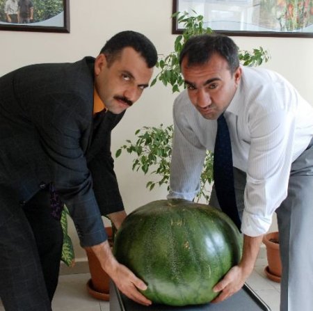 Gaziantep, 40 Kilogramlık Karpuzla Diyarbakır'a Rakip Oldu