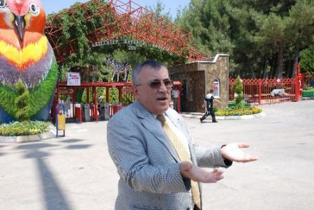 Gaziantep Hayvanat Bahçesi'nde Çocuğun Parmağını Kurt Kaptı