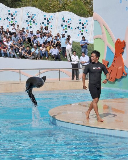 Gaziantep Hayvanat Bahçesi’nin yeni sakinleri foklar, gösterileriyle büyüledi