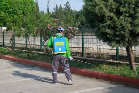 Gaziantep sokakları ilaçlanmaya başlandı