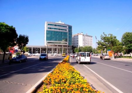 Gaziantep'te 1 Milyon Çiçek Dikildi