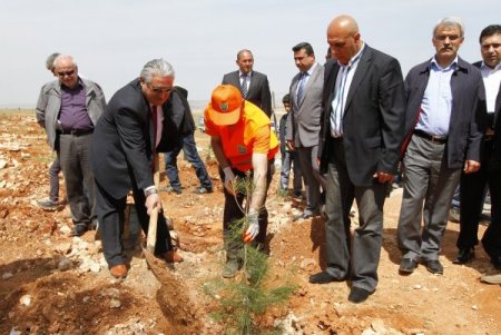 Gaziantep'te 47 Bin Fidan Toprakla Buluştu