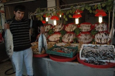 Gaziantep'te Balık Satışları Artıyor